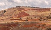 Madagascar in November. (© picture-alliance/dpa)