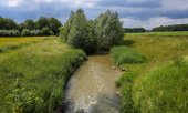 Wetlands such as moors are important CO2 reservoirs. (© picture alliance/Maximilian Koch)