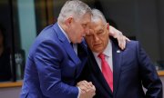 Fico with Hungarian Prime Minister Viktor Orbán at the EU summit in March 2025 (© picture alliance / ASSOCIATED PRESS / Omar Havana)